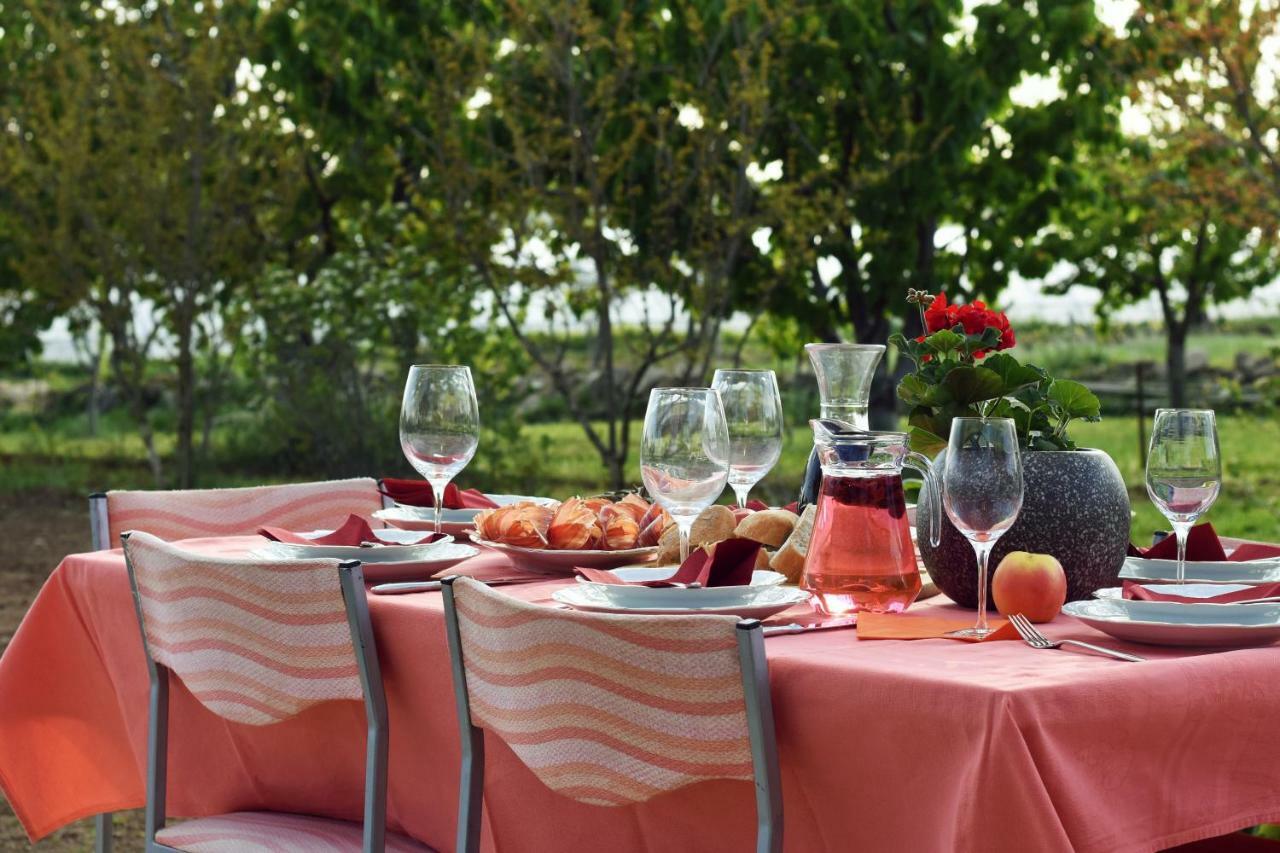 Easyliving House Near Zadar Villa โพเซดารเย ภายนอก รูปภาพ